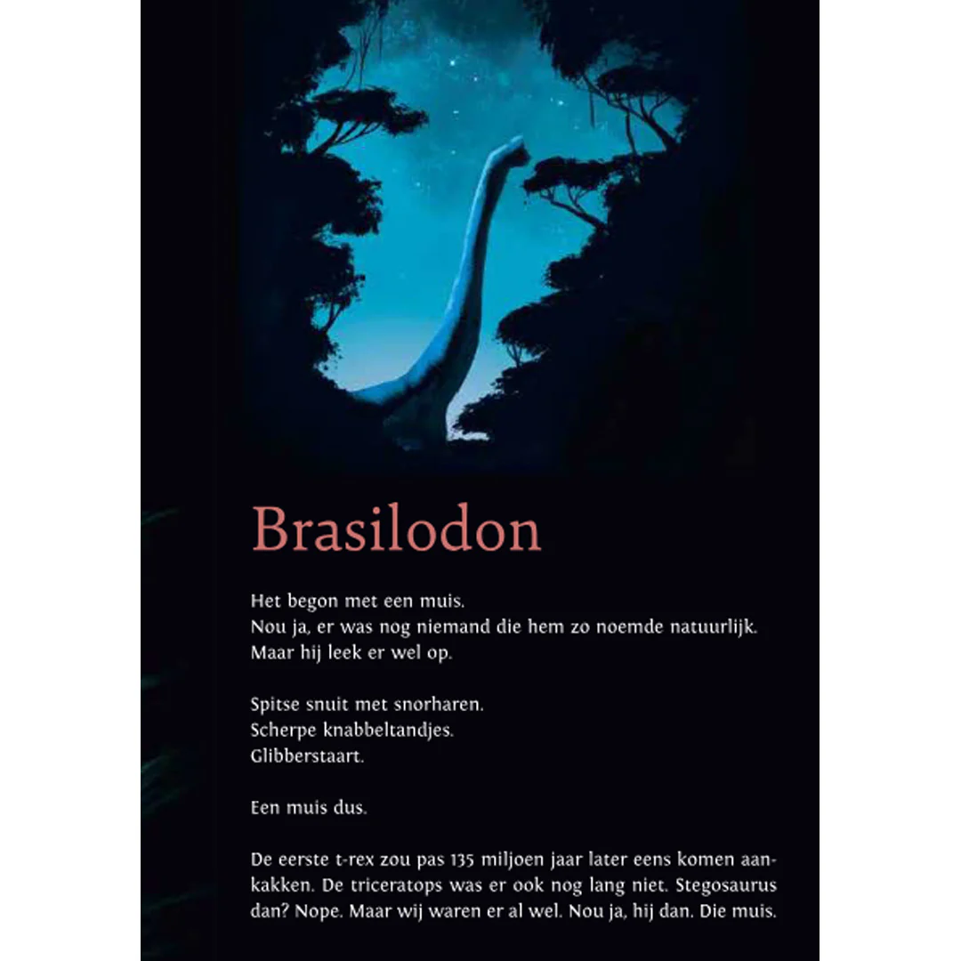 Productafbeelding 3