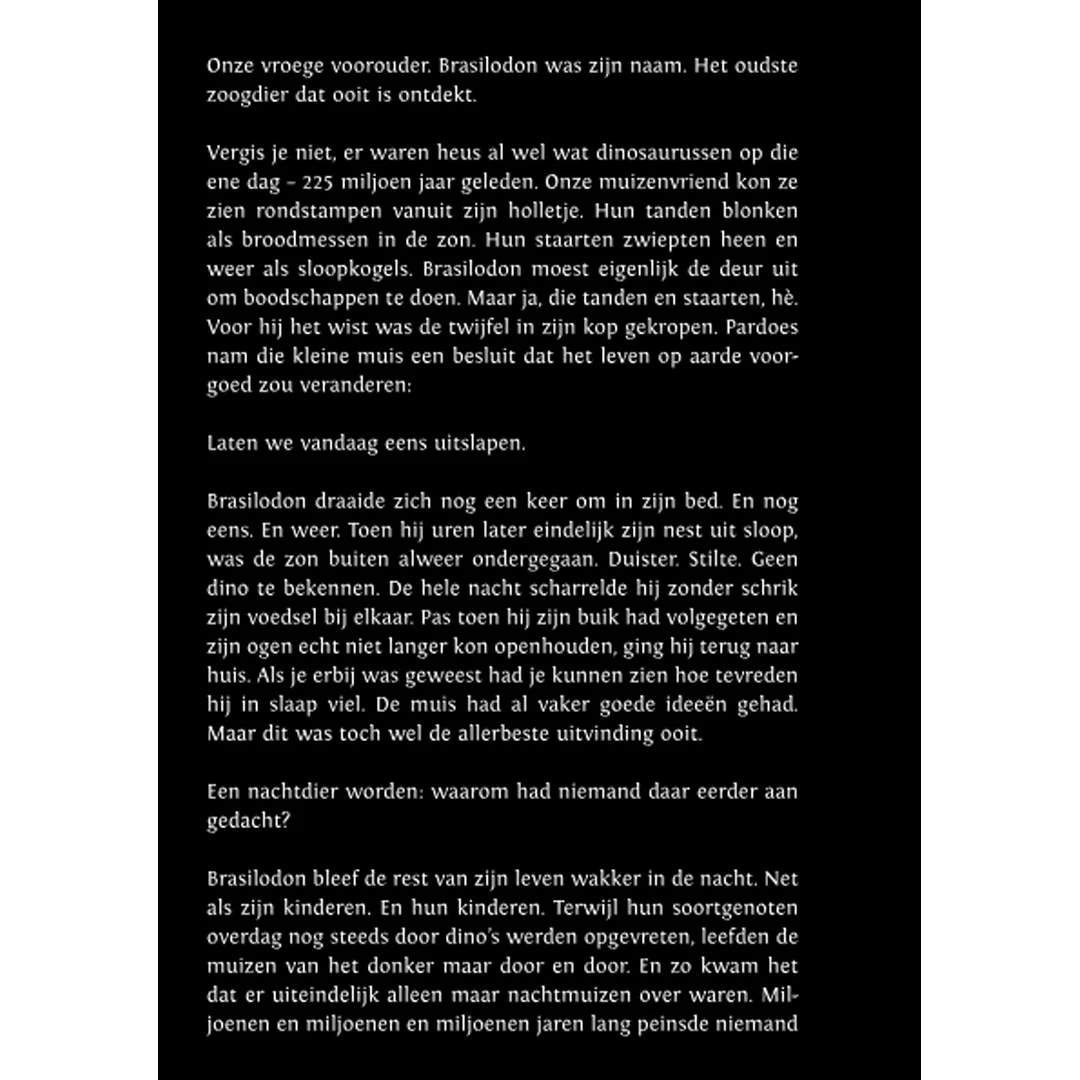 Productafbeelding 4