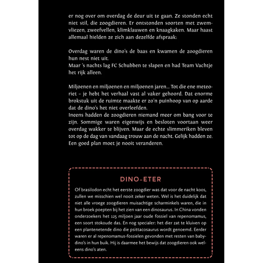 Productafbeelding 5