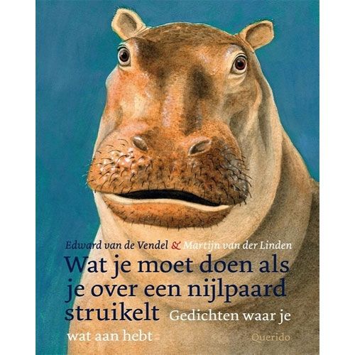 Productafbeelding 1