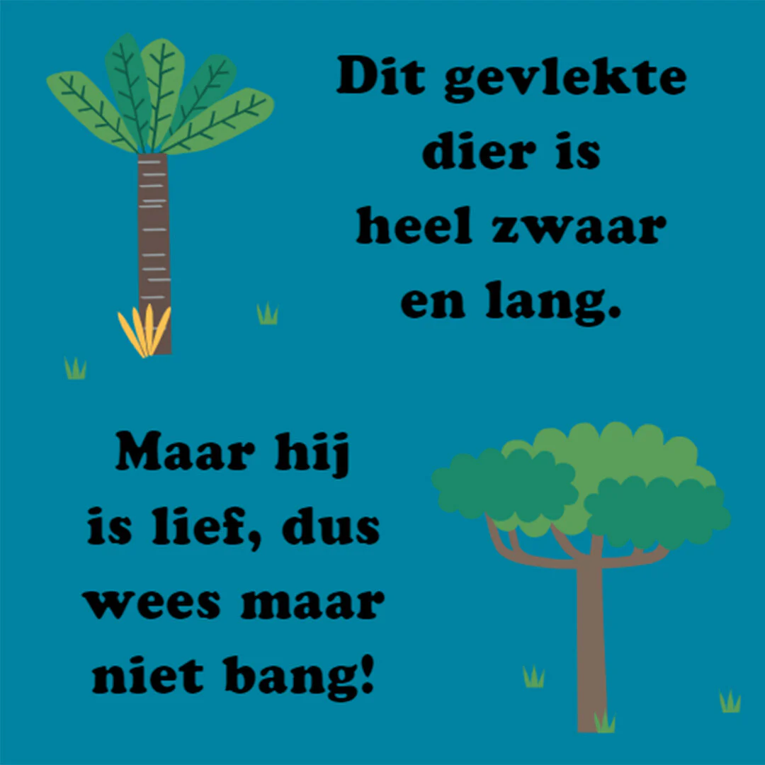 Productafbeelding 2