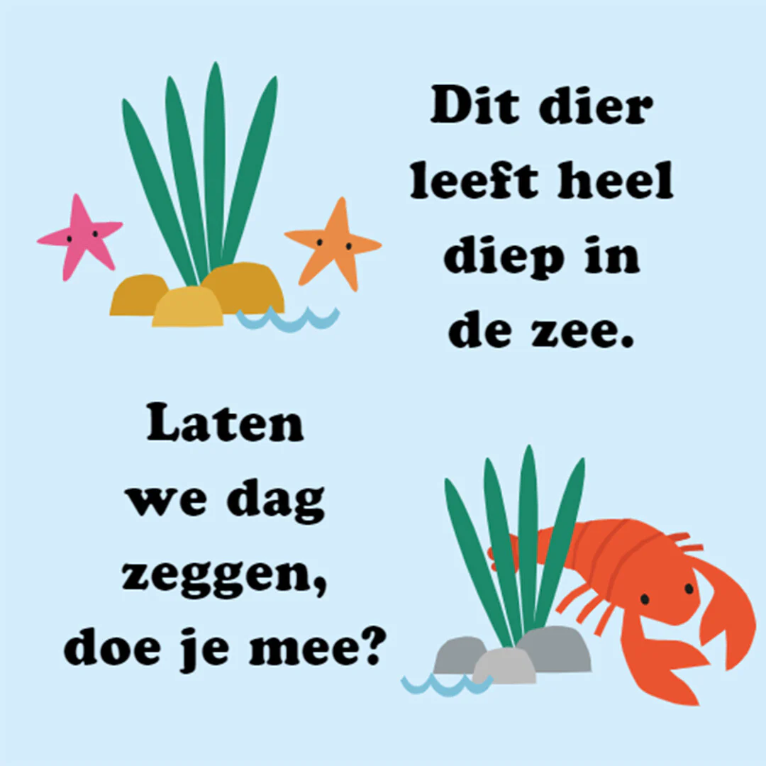 Productafbeelding 2