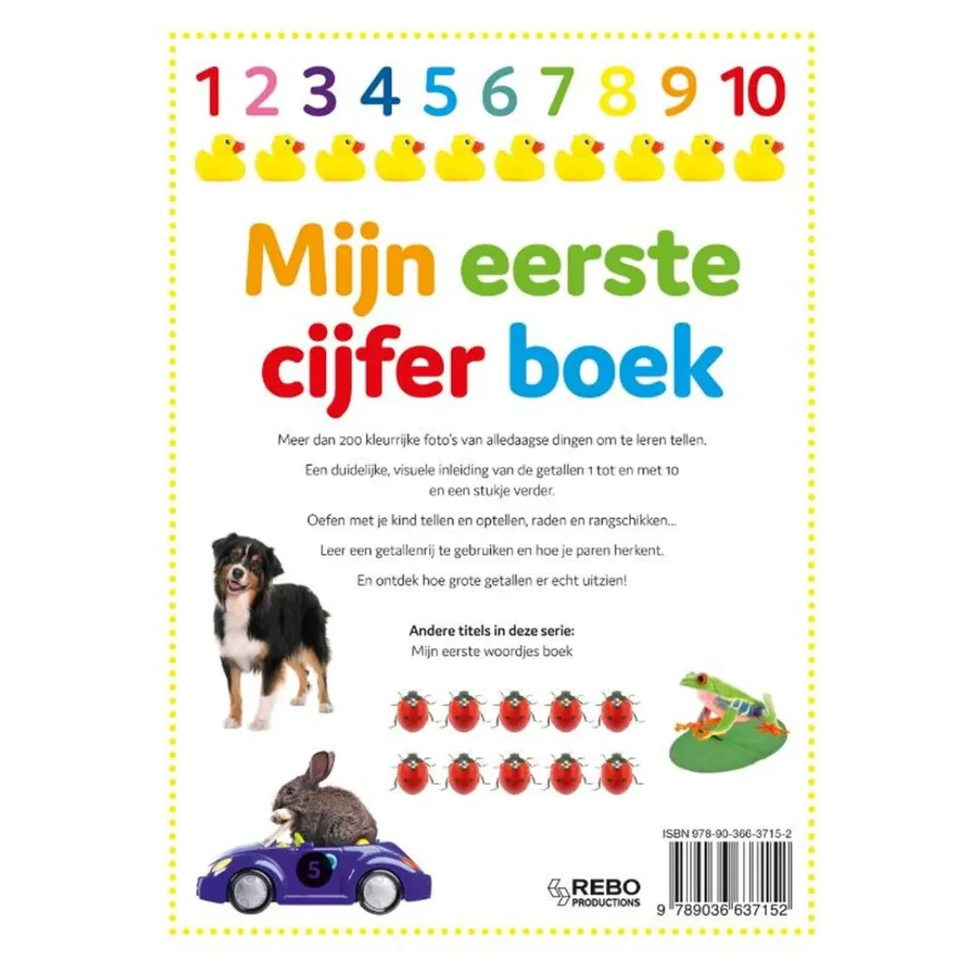Miniatuur 2