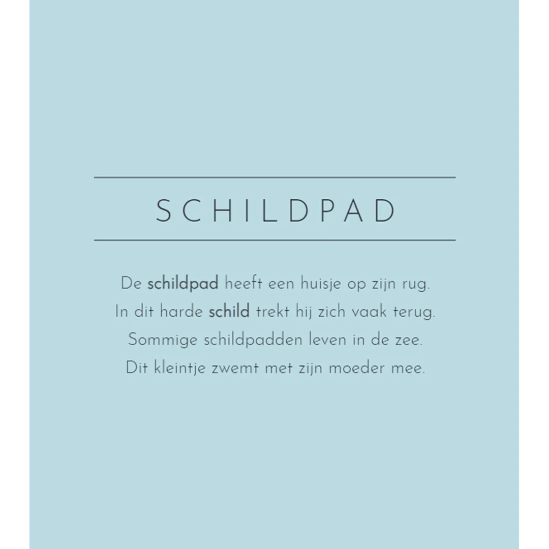 Productafbeelding 4