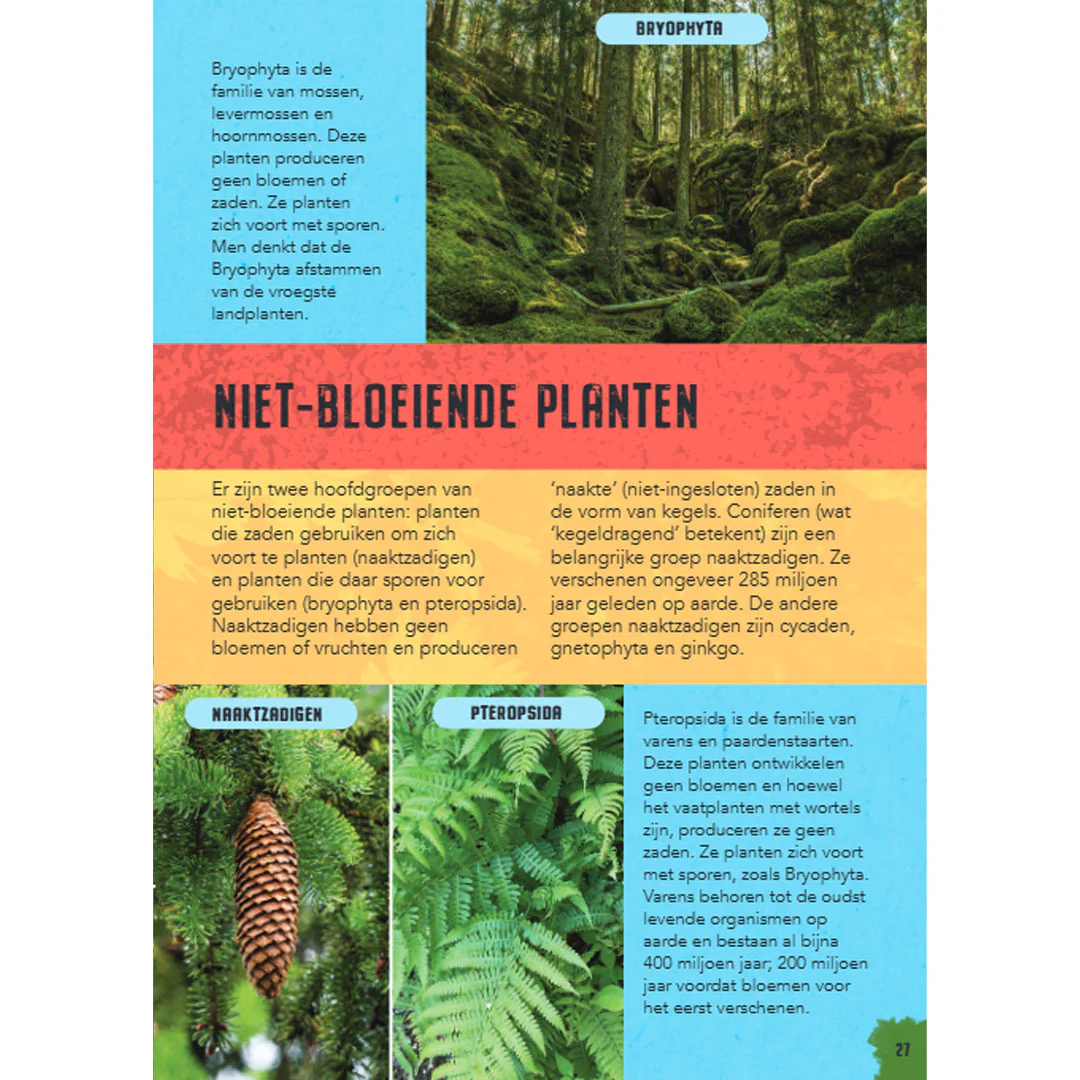Productafbeelding 5