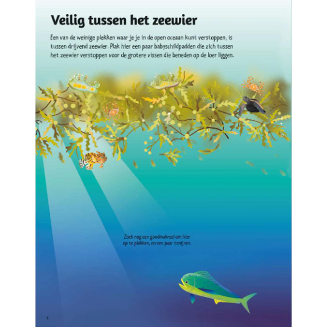 Productafbeelding 4