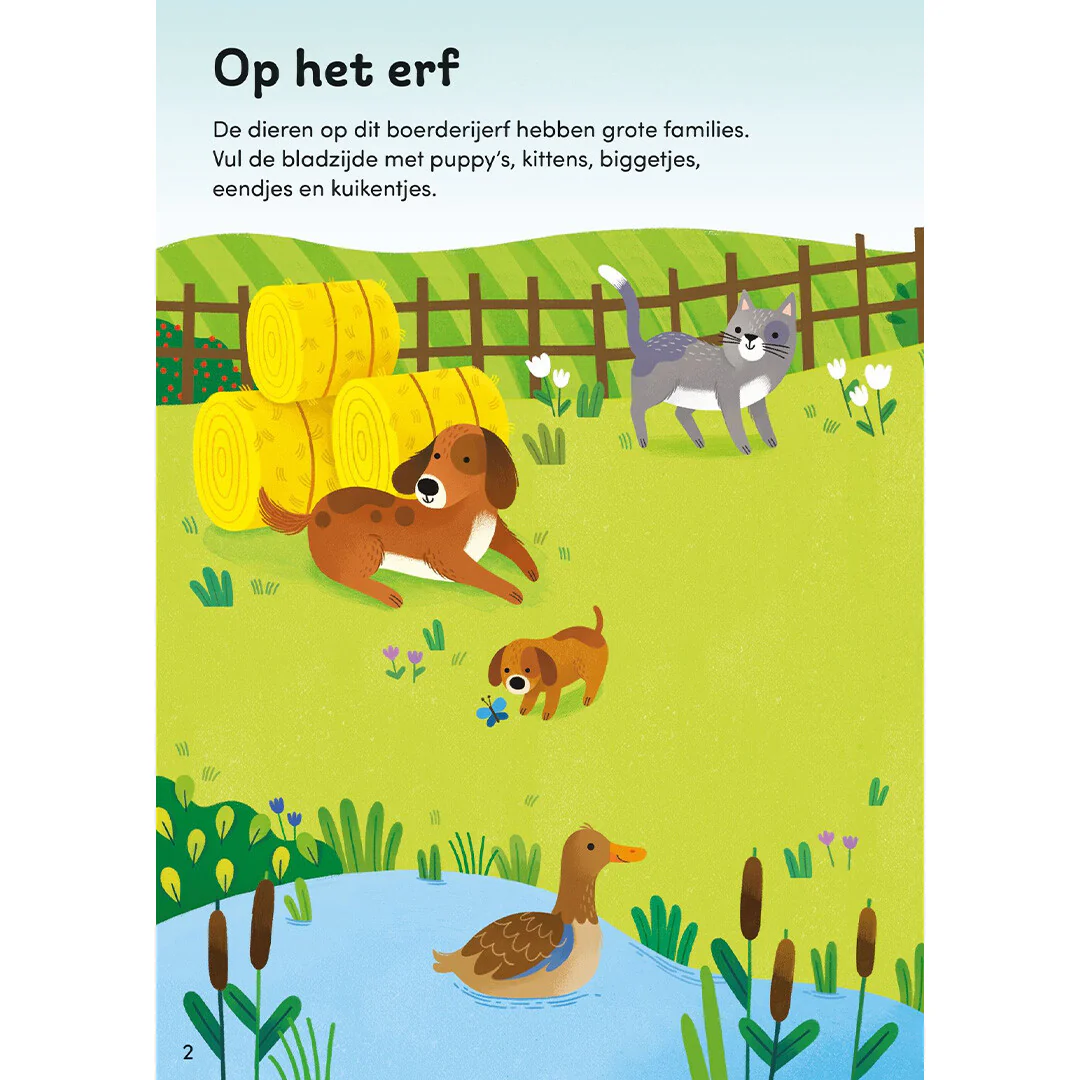 Productafbeelding 2