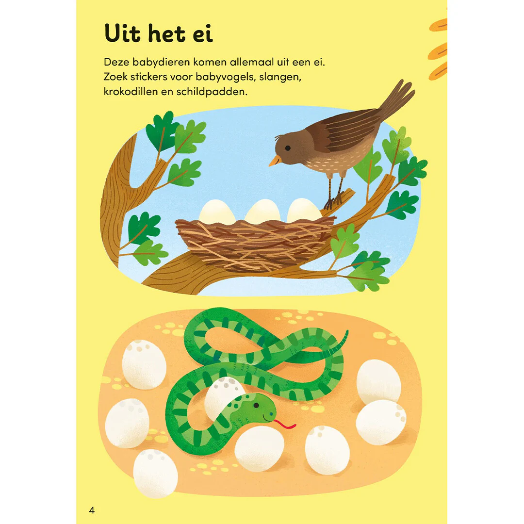 Productafbeelding 4