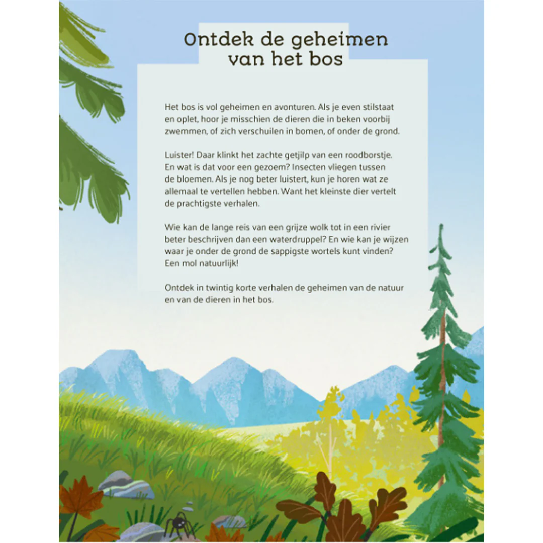 Productafbeelding 3
