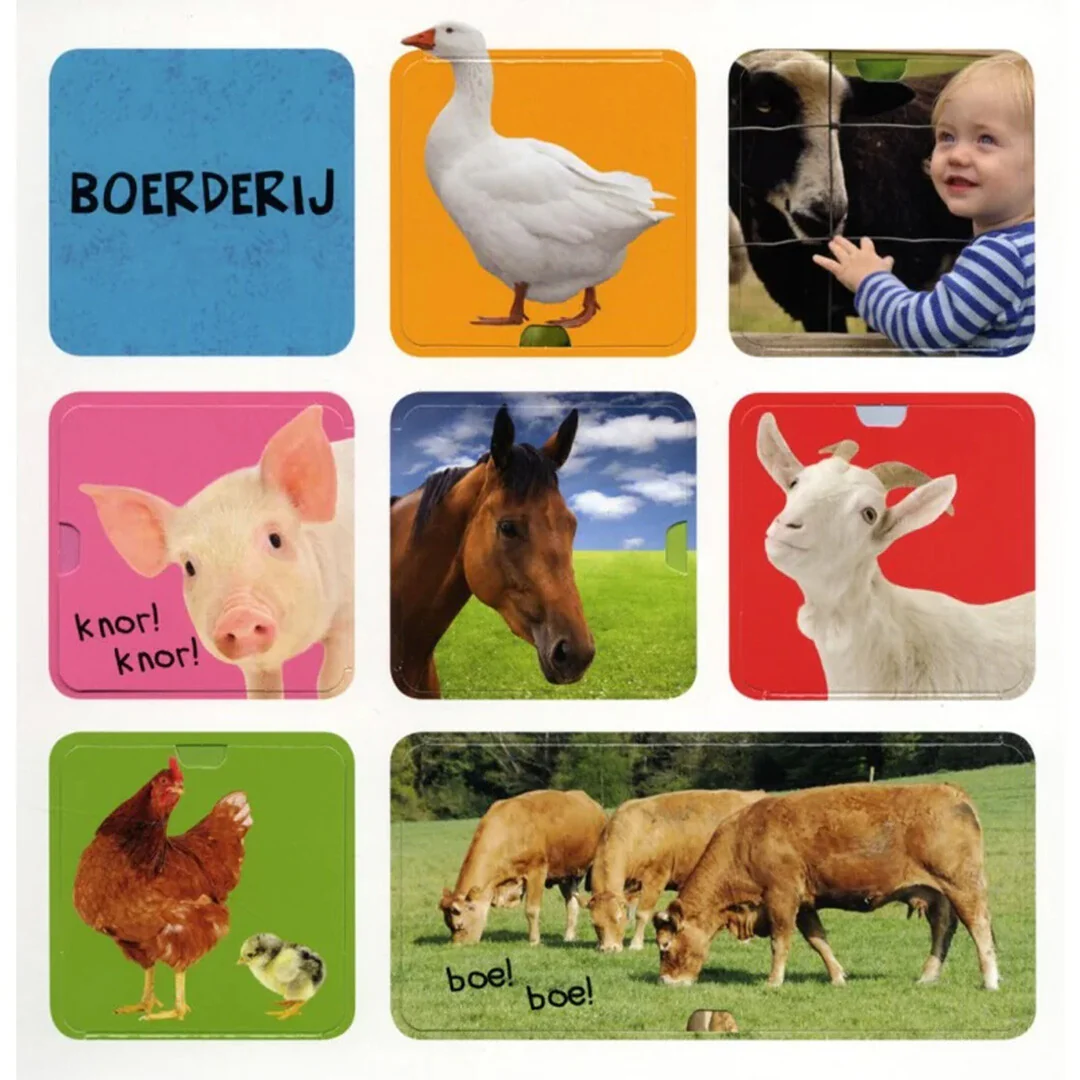 Productafbeelding 2