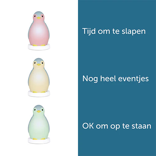 Productafbeelding 8