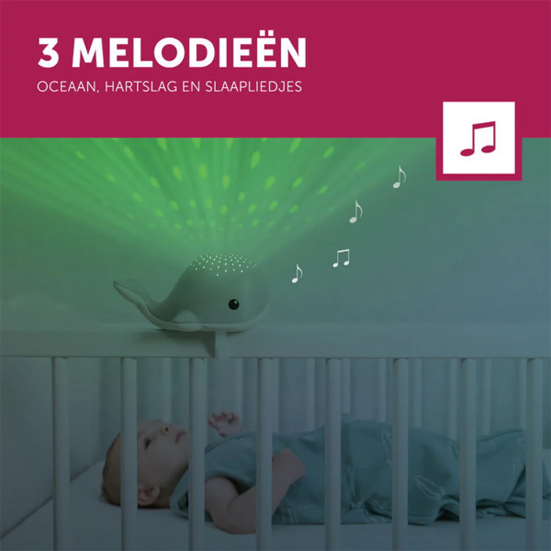 Productafbeelding 2